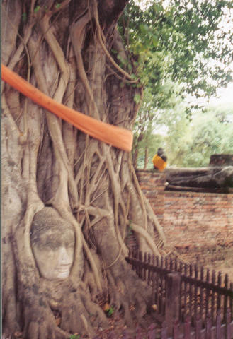 Ayuthaya 6