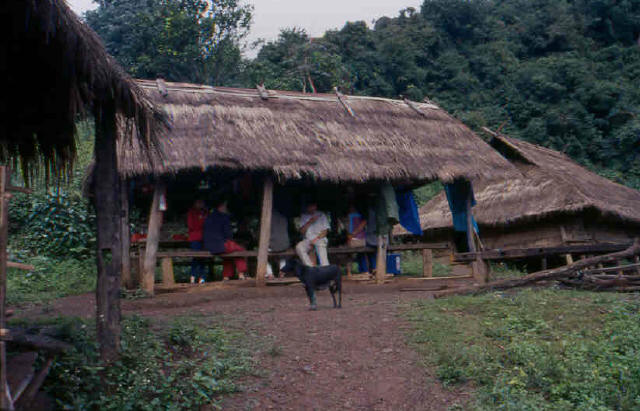Breackfast in the jungle