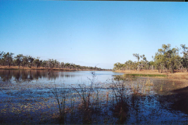 Bush Lake