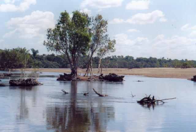 Bush River 3