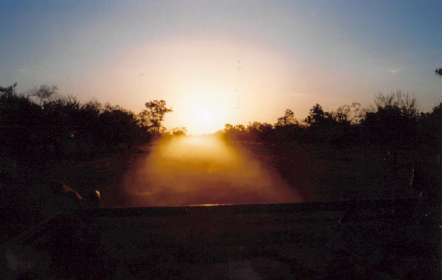 Bush Sunset 4