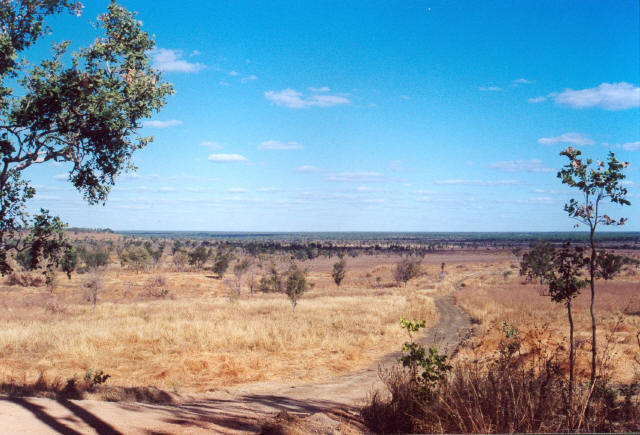 Bush Track