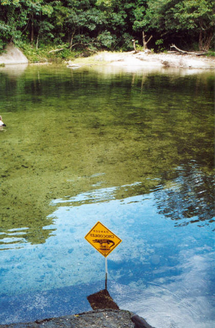 Cairns Rain Forest Lake 2