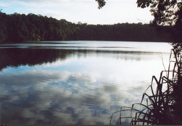 Cairns Rain Forest Lake 3