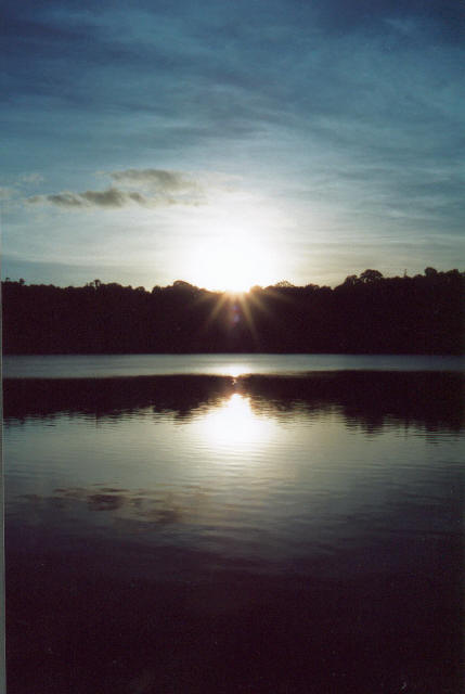 Cairns Rain Forest Lake 4
