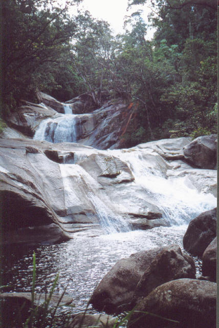 Cairns Rain Forest Waterfalls 2