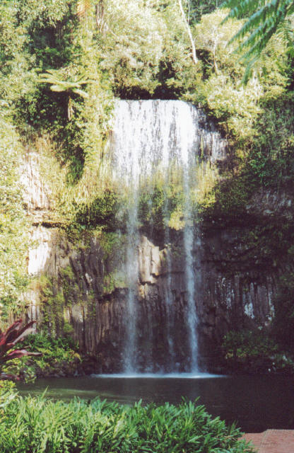 Cairns Rain Forest Waterfalls 6