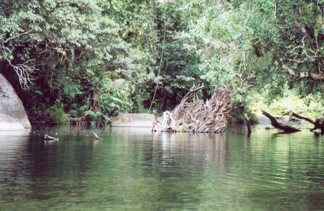 Cairns Rain Lake