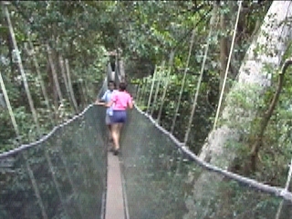 Canopi Walk 3