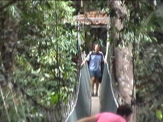 Canopi Walk1