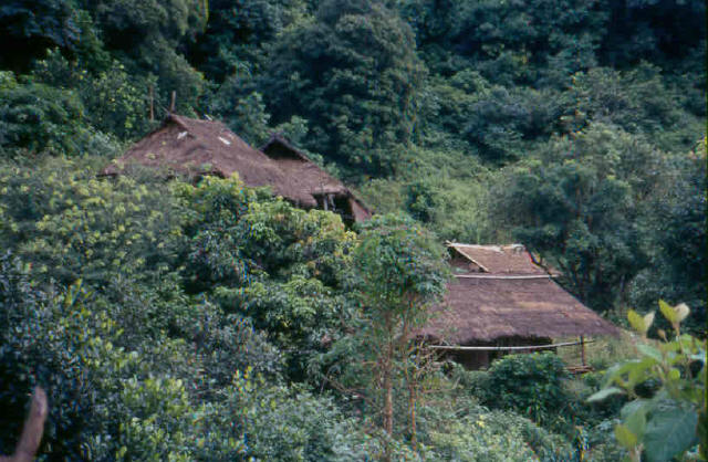 Chiang Mai jungle Houses