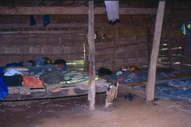 Chiang Mai jungle Room 2