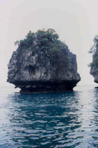 Kho Phi Phi 15