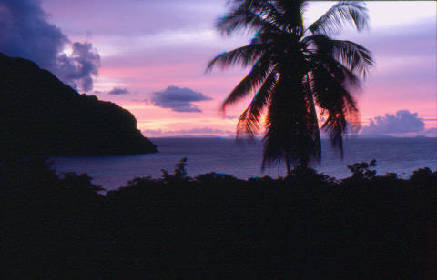 Kho Phi Phi 4