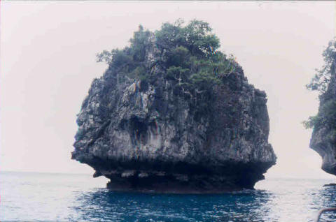Kho Phi Phi 8