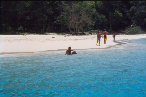 Kho Phi Phi Beach 3