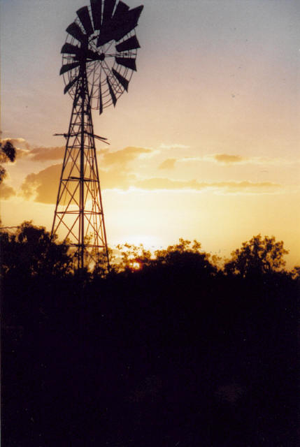Sun rise in the Bush 2