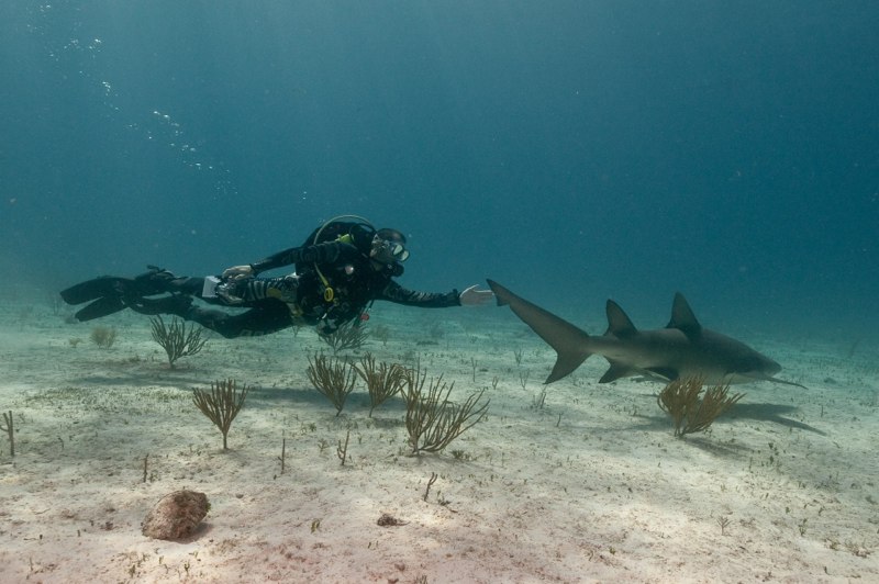 Bahamas 2009 002