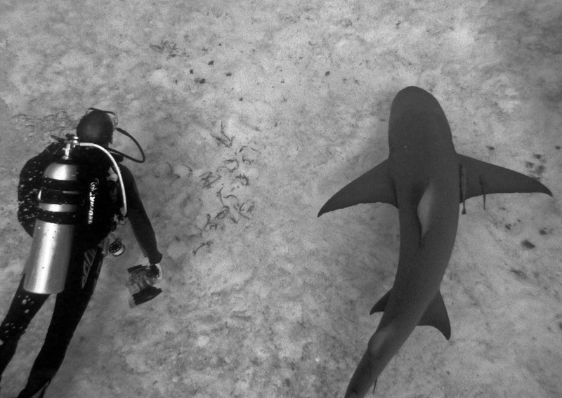 Bahamas 2009 003