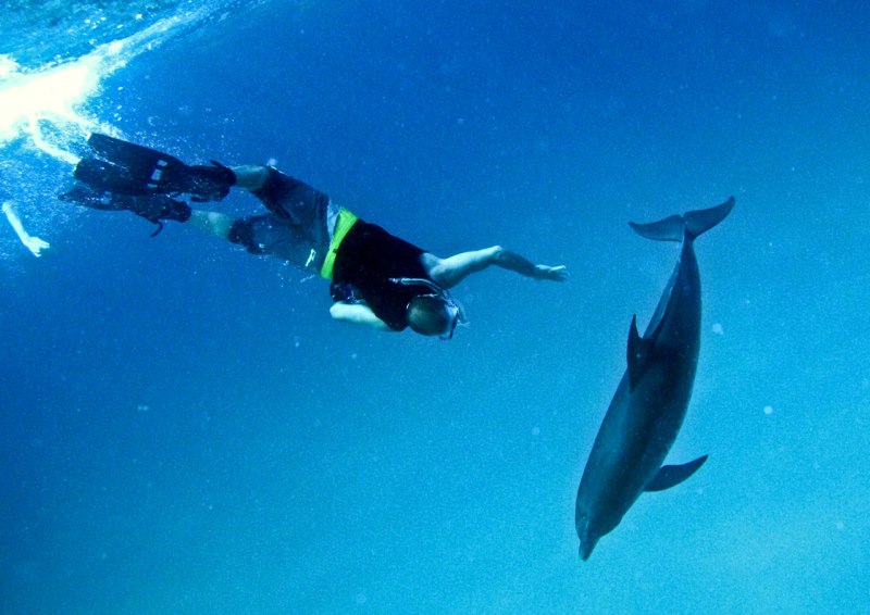 Bahamas 2009 005