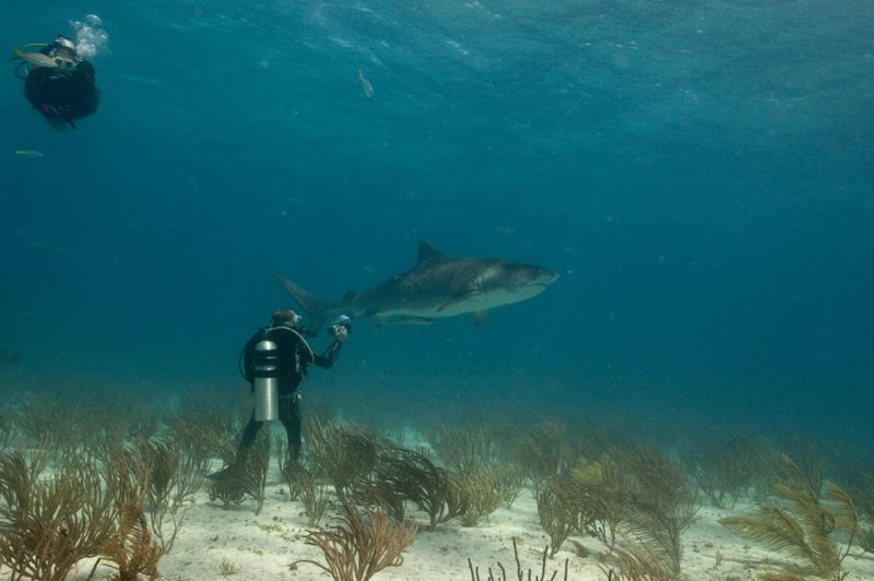 Bahamas 2009 020