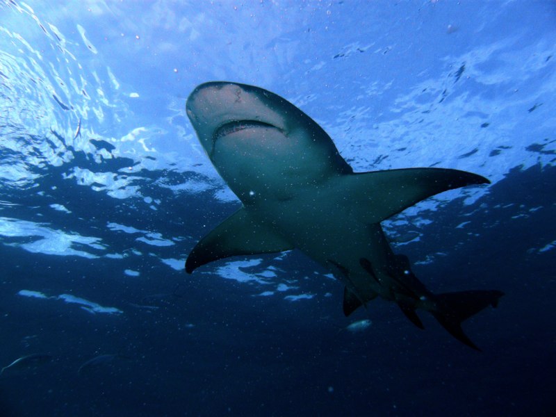 Bahamas 2009 102
