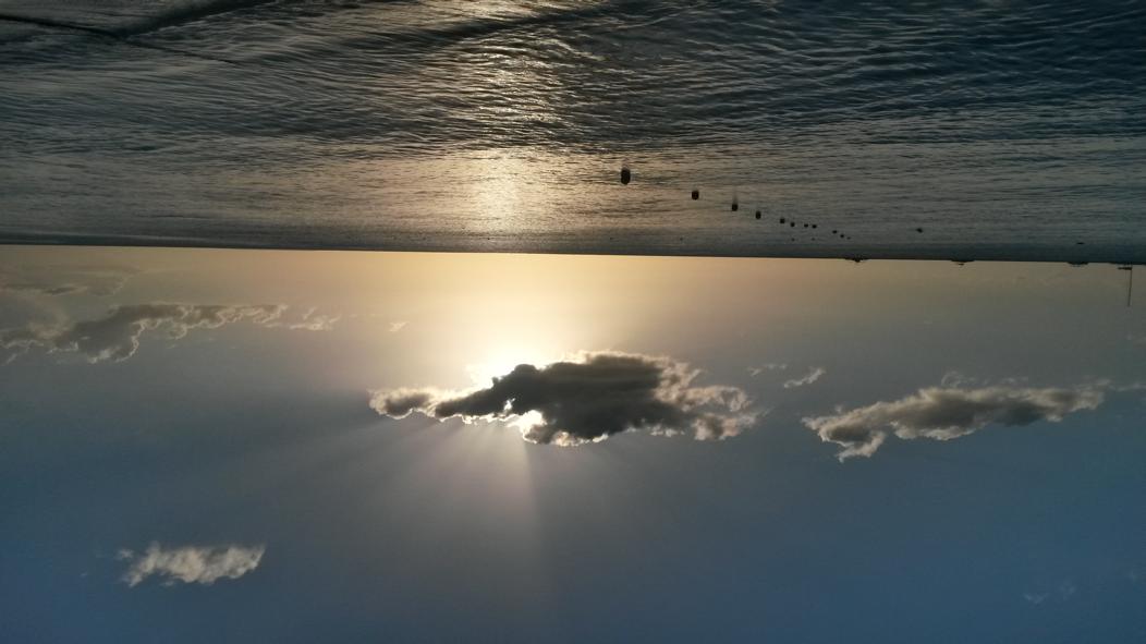 Bayahibe 0014