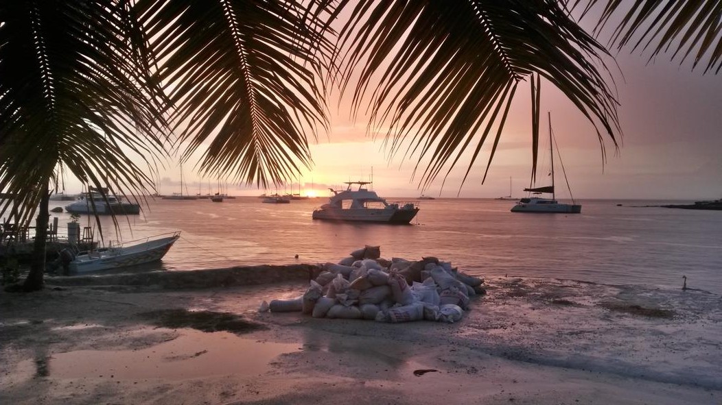 Bayahibe 0027 e1449665858286