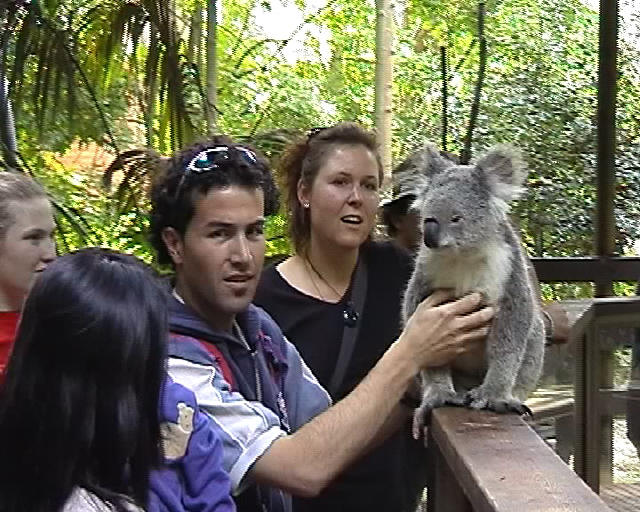Me and a Koala 2