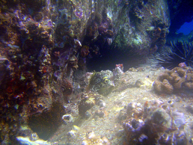 DSC05543