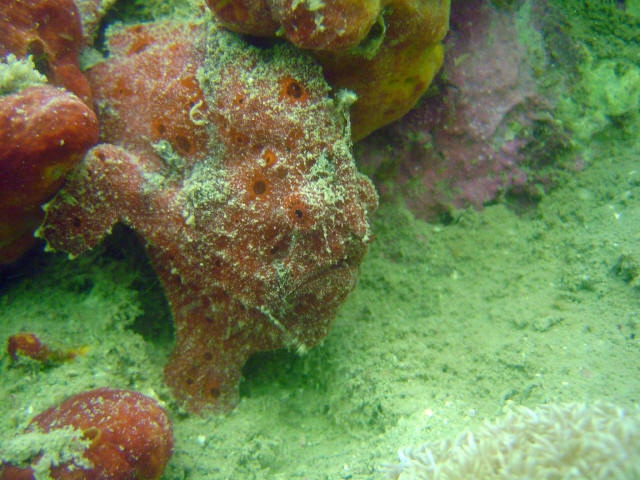DSC07358