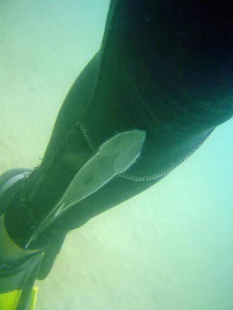 DSC07400