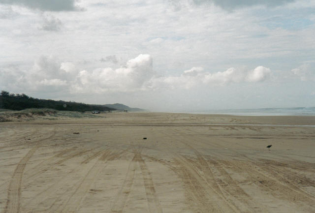 Fraser Island Beach
