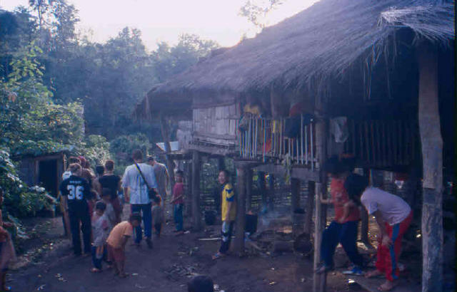 Jungle Village
