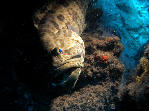 P8110041