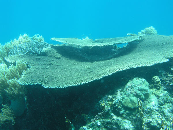 P8160073