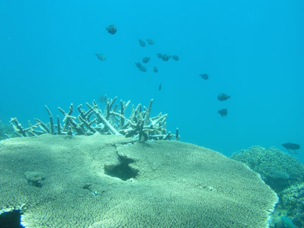 P8160085