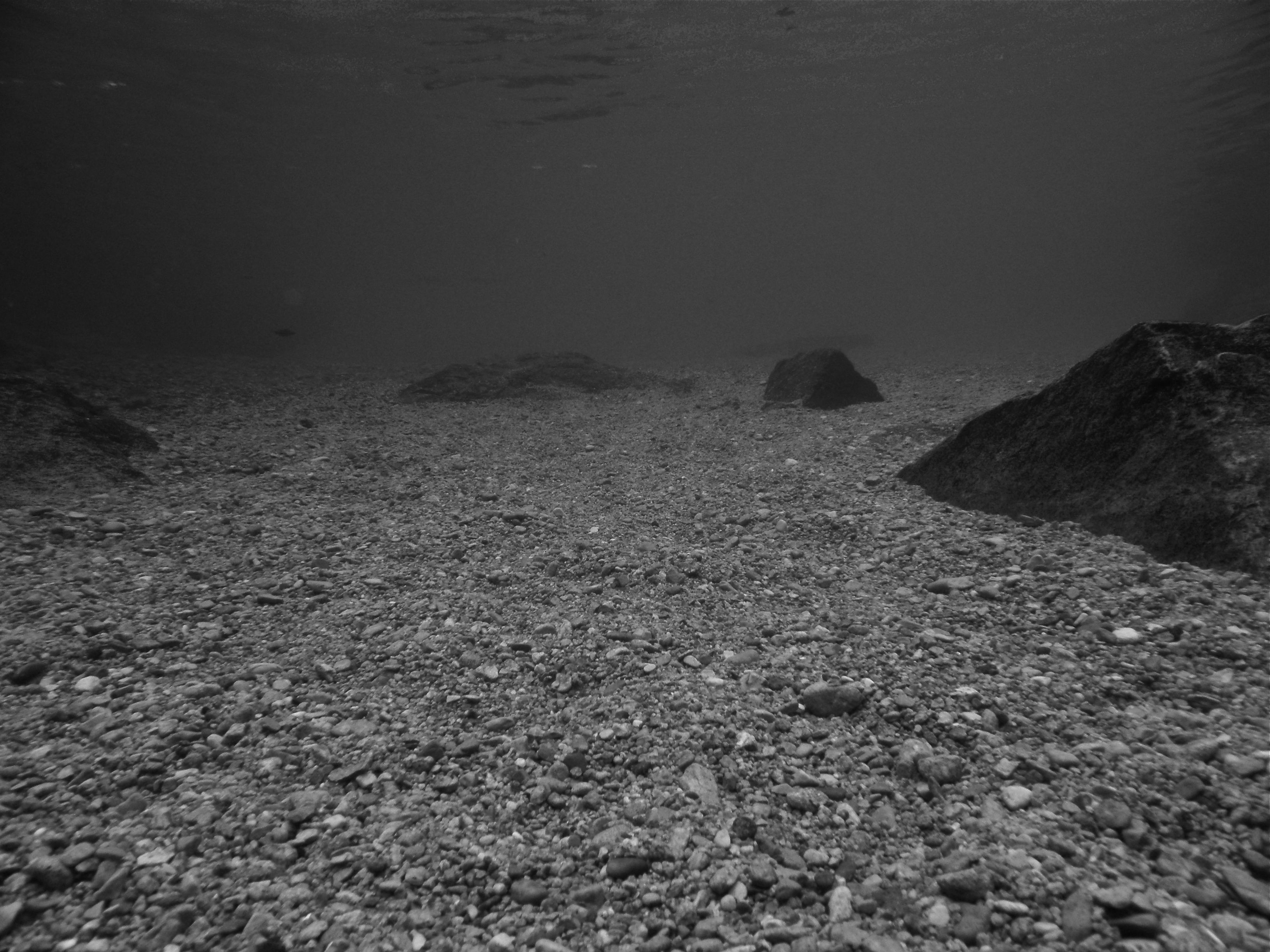 P9140083