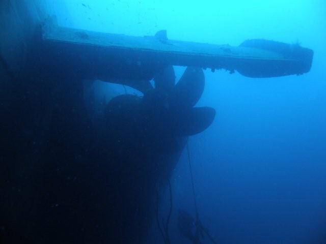 P9200041