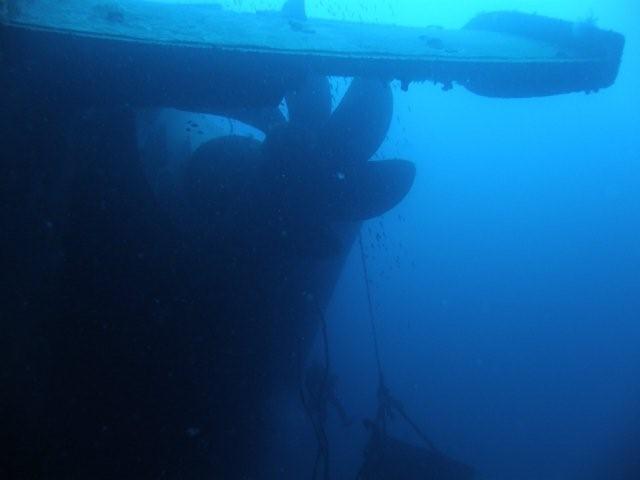 P9200042