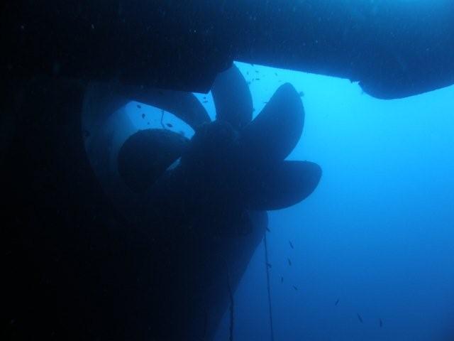 P9200044