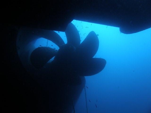 P9200045