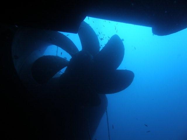 P9200046