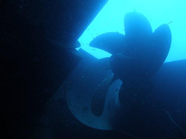 P9200047