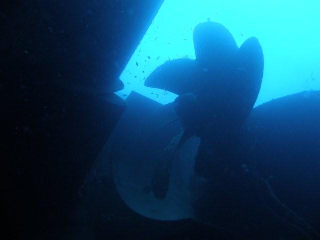 P9200048
