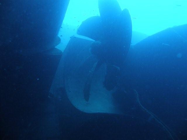 P9200049