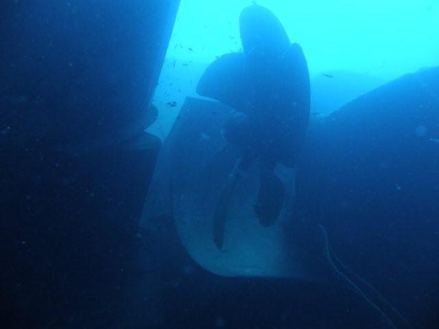 P9200050