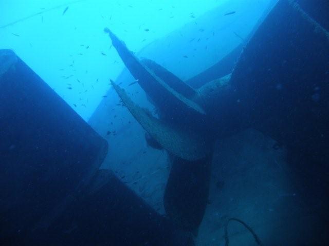 P9200051