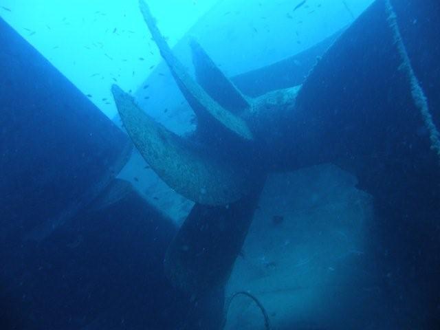 P9200052