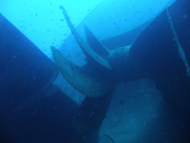 P9200053